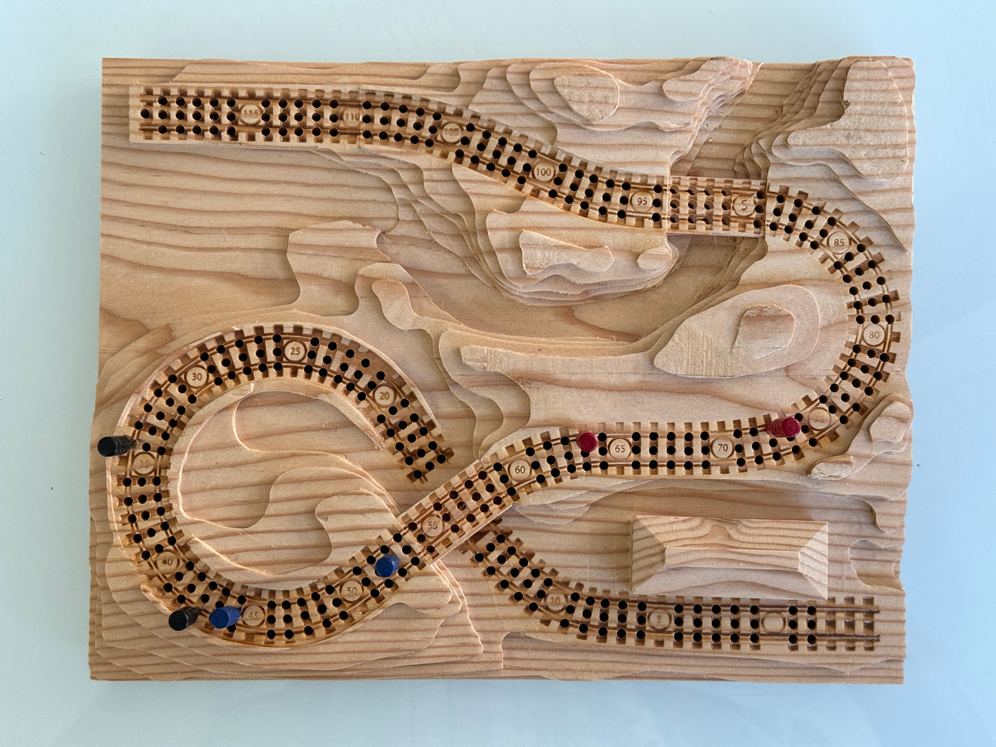 Special Fir 'From the Mountains to the Coast' Railroad Cribscape