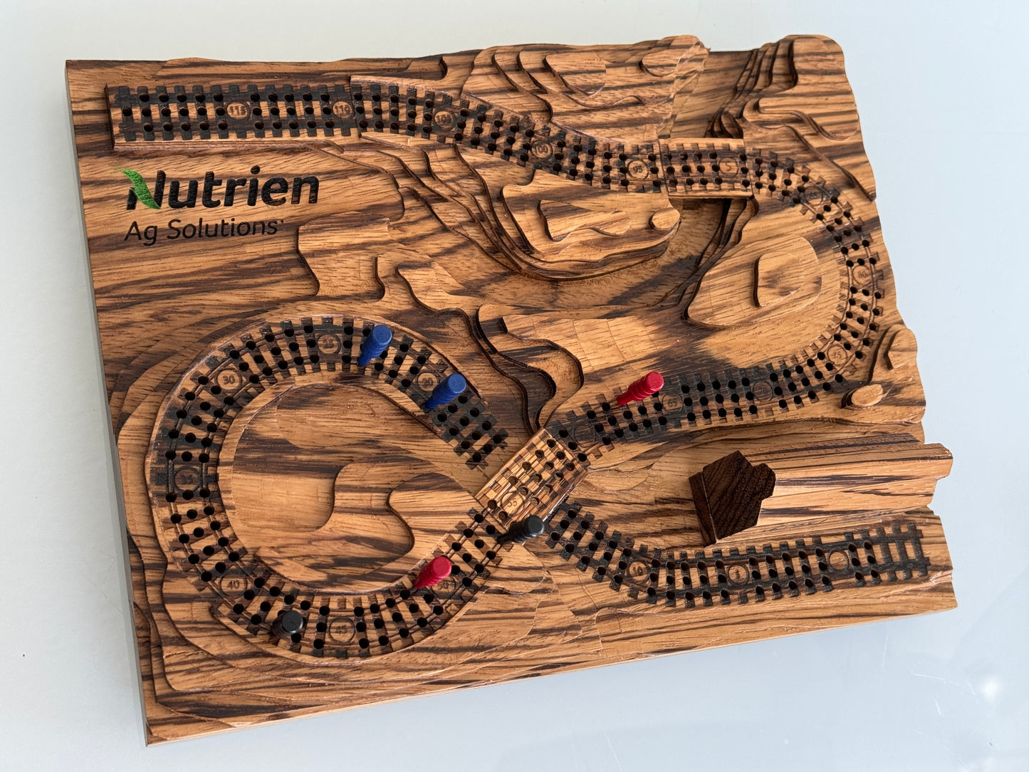 Zebrawood 'From the Mountains to the Coast' Railroad Cribscape